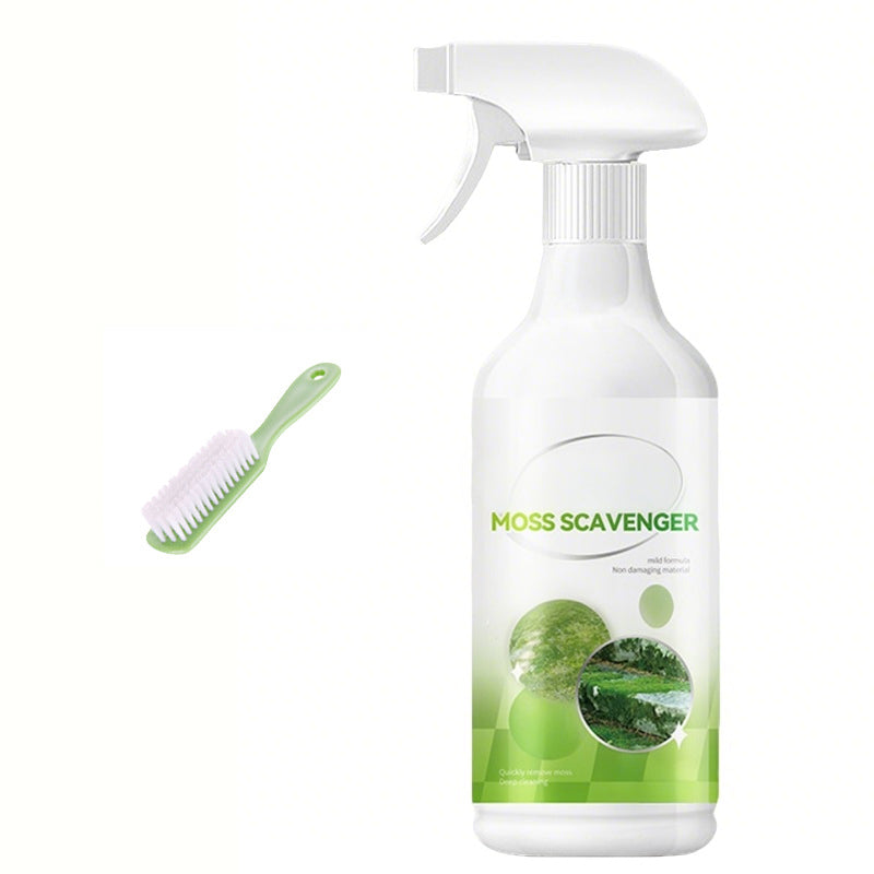 Spray anti-mousse et anti-algues pour extérieur