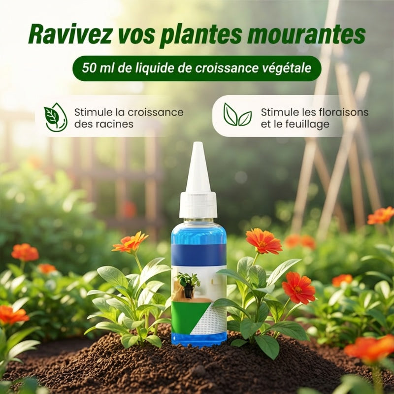 Liquide de croissance végétale 50 ml pour semis et boutures