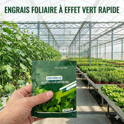 Engrais Foliaire à Effet Vert Rapide