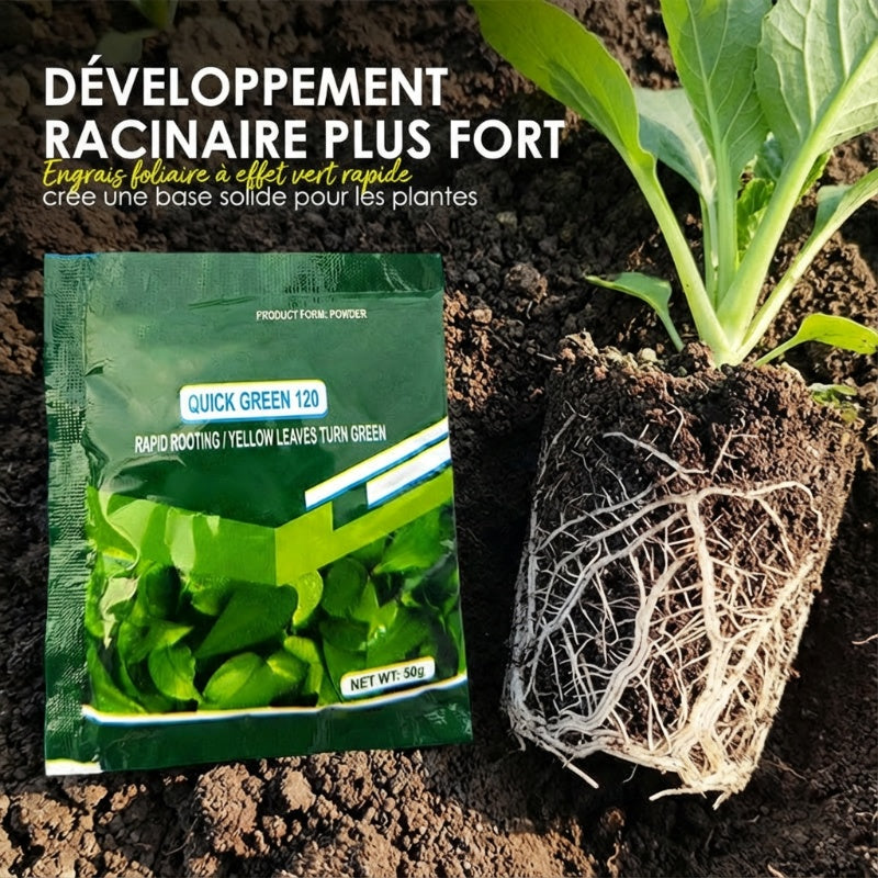 Engrais Foliaire à Effet Vert Rapide