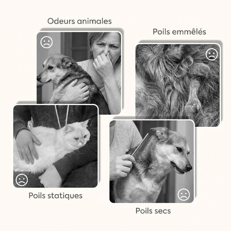 Spray démêlant et désodorisant pour animaux