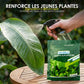 Engrais Foliaire à Effet Vert Rapide