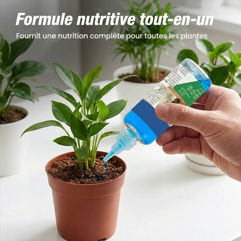 Liquide de croissance végétale 50 ml pour semis et boutures