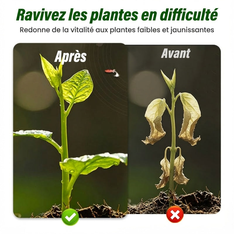 Liquide de croissance végétale 50 ml pour semis et boutures
