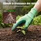 Liquide de croissance végétale 50 ml pour semis et boutures