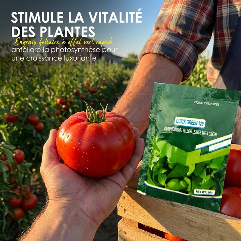 Engrais Foliaire à Effet Vert Rapide