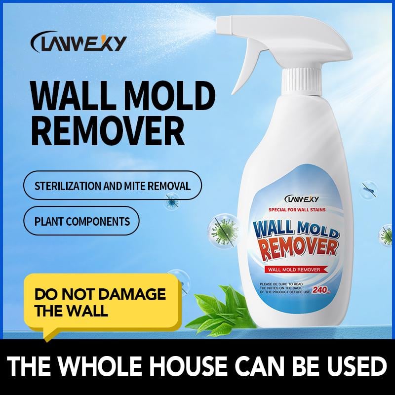 Spray Anti-Moisissure Haute Efficacité
