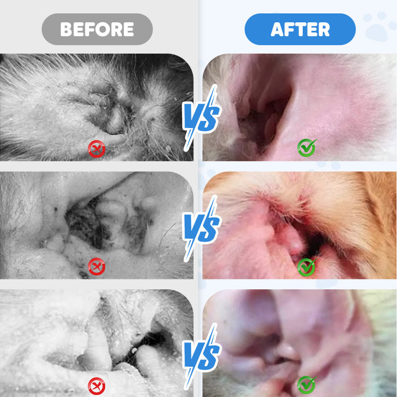 📢📢Achetez-en 2 obtenez-en 1 gratuit🔥🔥Nettoyant pour oreilles pour chiens et chats