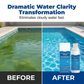 Purificateur liquide pour piscine