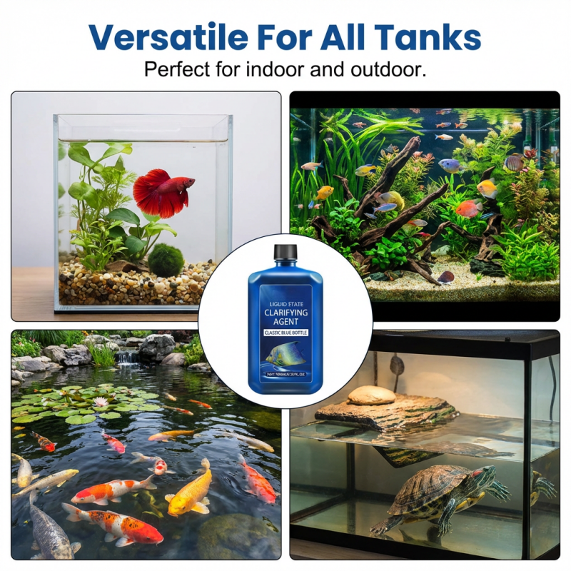 Clarificateur d’eau pour aquarium à action rapide