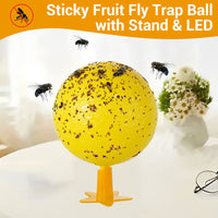 Boule piège à mouches des fruits adhésive avec support et LED