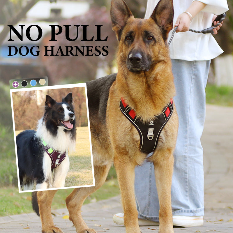 📢📢50 % DE RÉDUCTION !! ⏰Harnais anti-traction pour chien avec laisse et collier à LED