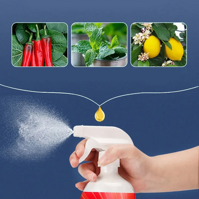 Huile essentielle à base de plantes en flacon, répulsif contre les rats (50 % de réduction)