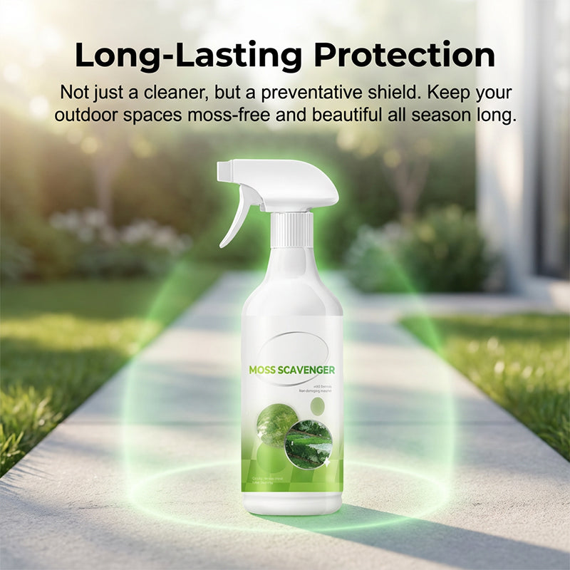 Spray anti-mousse et anti-algues pour extérieur