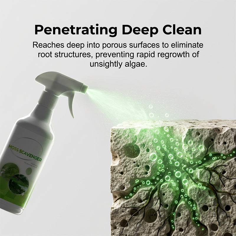 Spray anti-mousse et anti-algues pour extérieur