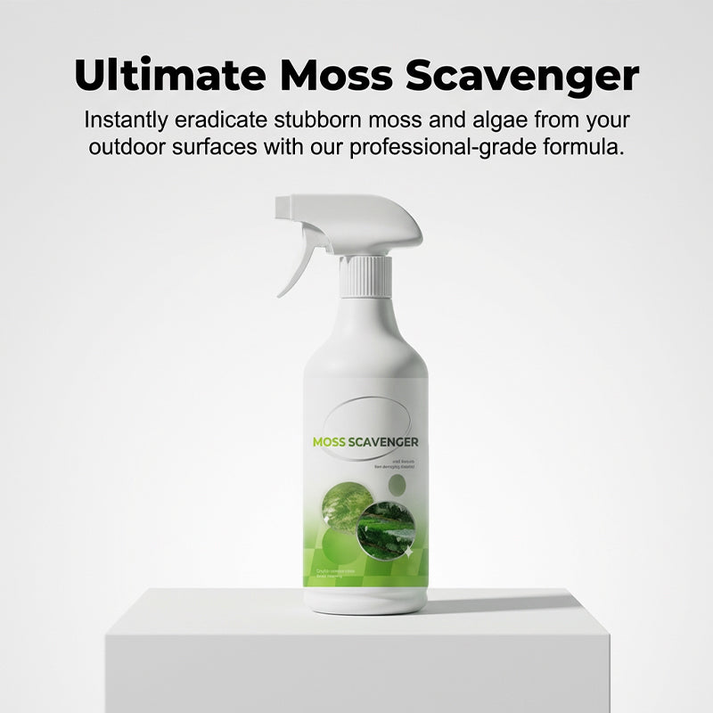 Spray anti-mousse et anti-algues pour extérieur