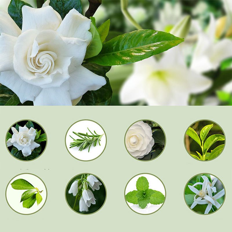 🌬️ 50 % DE RÉDUCTION EN CE MOMENT ! 🌸Diffuseur d'Aromathérapie Automatique – Silencieux, Diffusion Régulière & Ambiance Parfumée🏡
