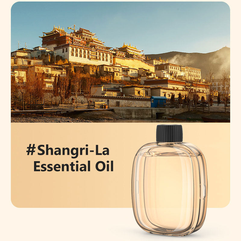 🌬️ 50 % DE RÉDUCTION EN CE MOMENT ! 🌸Diffuseur d'Aromathérapie Automatique – Silencieux, Diffusion Régulière & Ambiance Parfumée🏡