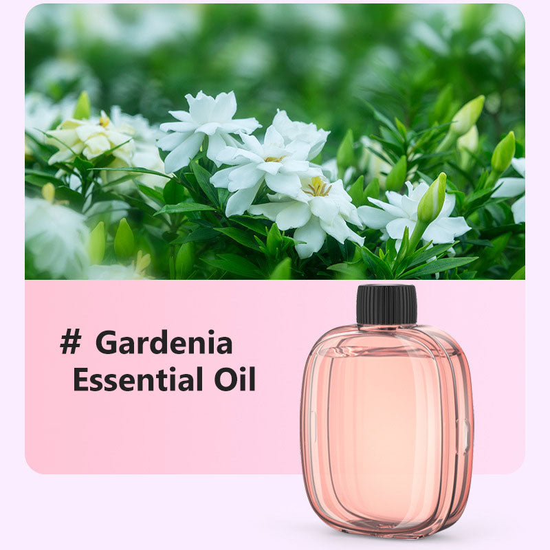 🌬️ 50 % DE RÉDUCTION EN CE MOMENT ! 🌸Diffuseur d'Aromathérapie Automatique – Silencieux, Diffusion Régulière & Ambiance Parfumée🏡