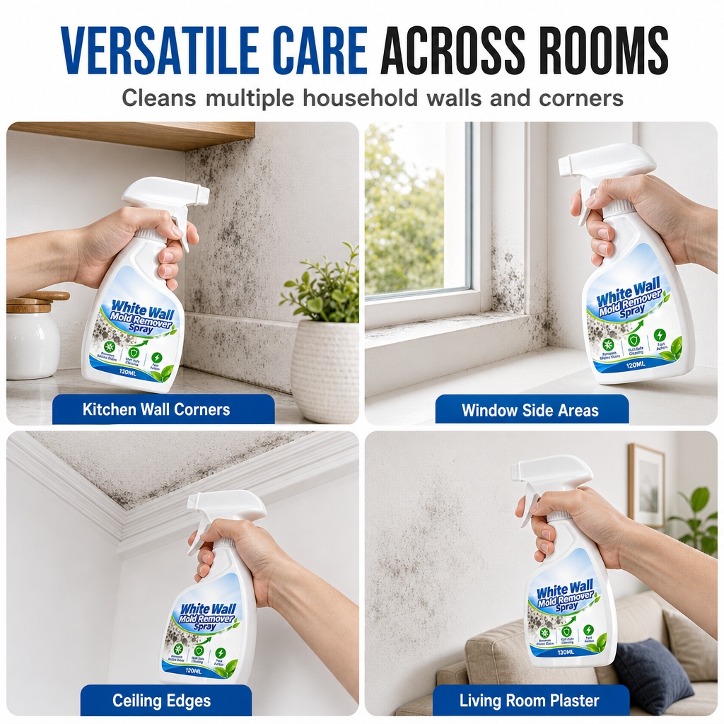 Spray anti-moisissure pour murs à action rapide